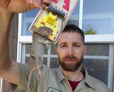 Salt Lake City pest control